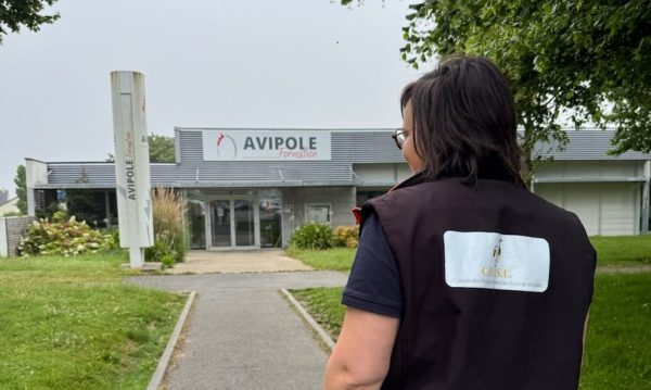avipole